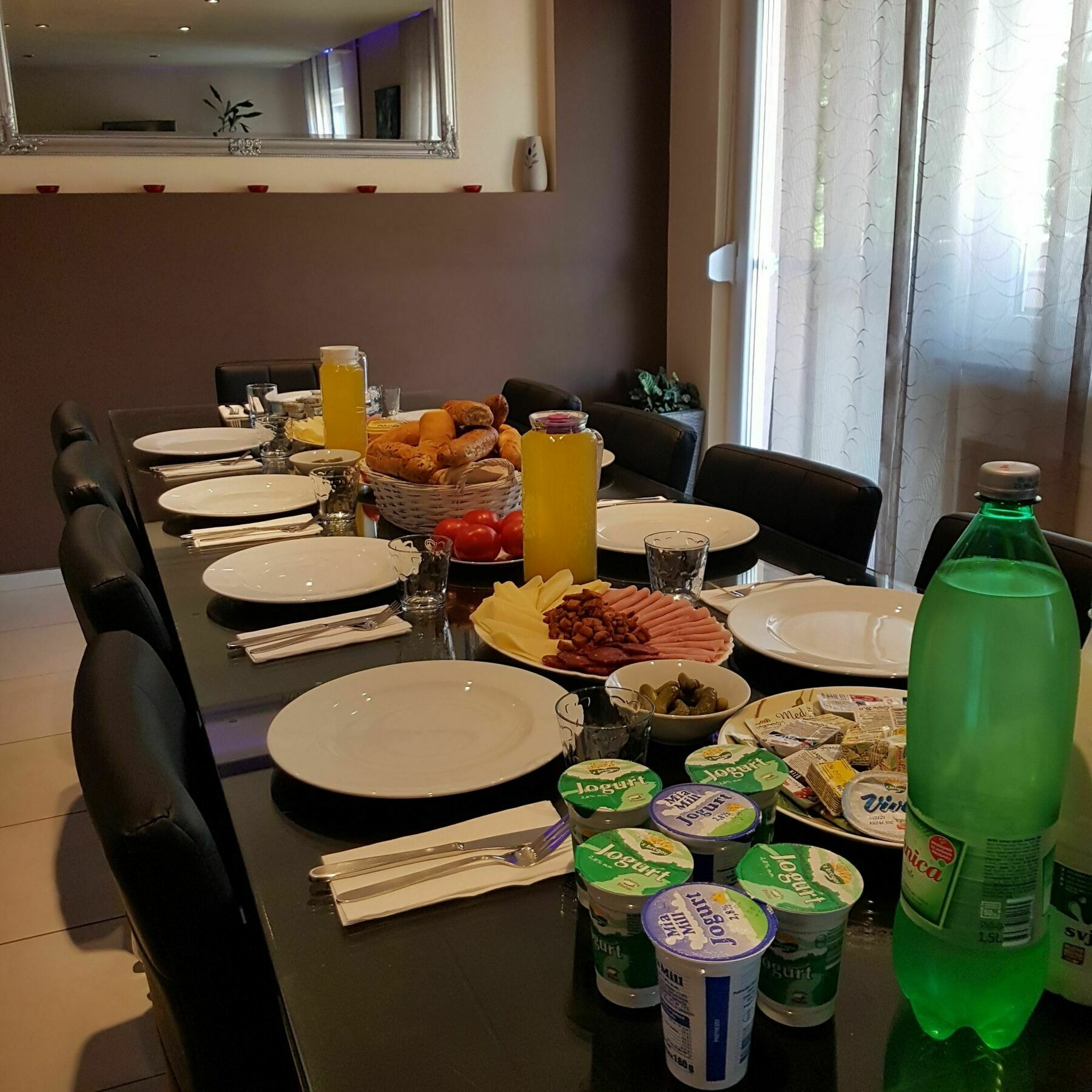 Villa Biser Dunava 武科瓦尔 外观 照片